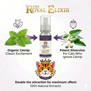 What is the difference between silvervine and catnip for cats?
