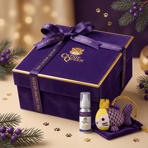 Gifts for Cat Lovers: The 2026 Christmas Guide