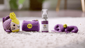 How to WIN A Catnip Toy Set For Your Kitty from Ecohome Magazine