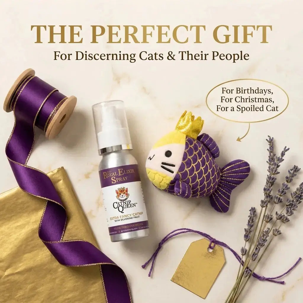 Gifts for Cat Lovers