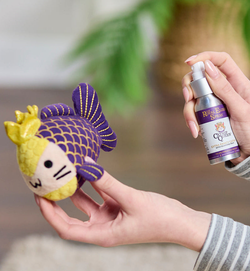 Person holding a purple and yellow fish-shaped toy with a bottle of Ruff & Tuff spray in front of a blurred green plant.