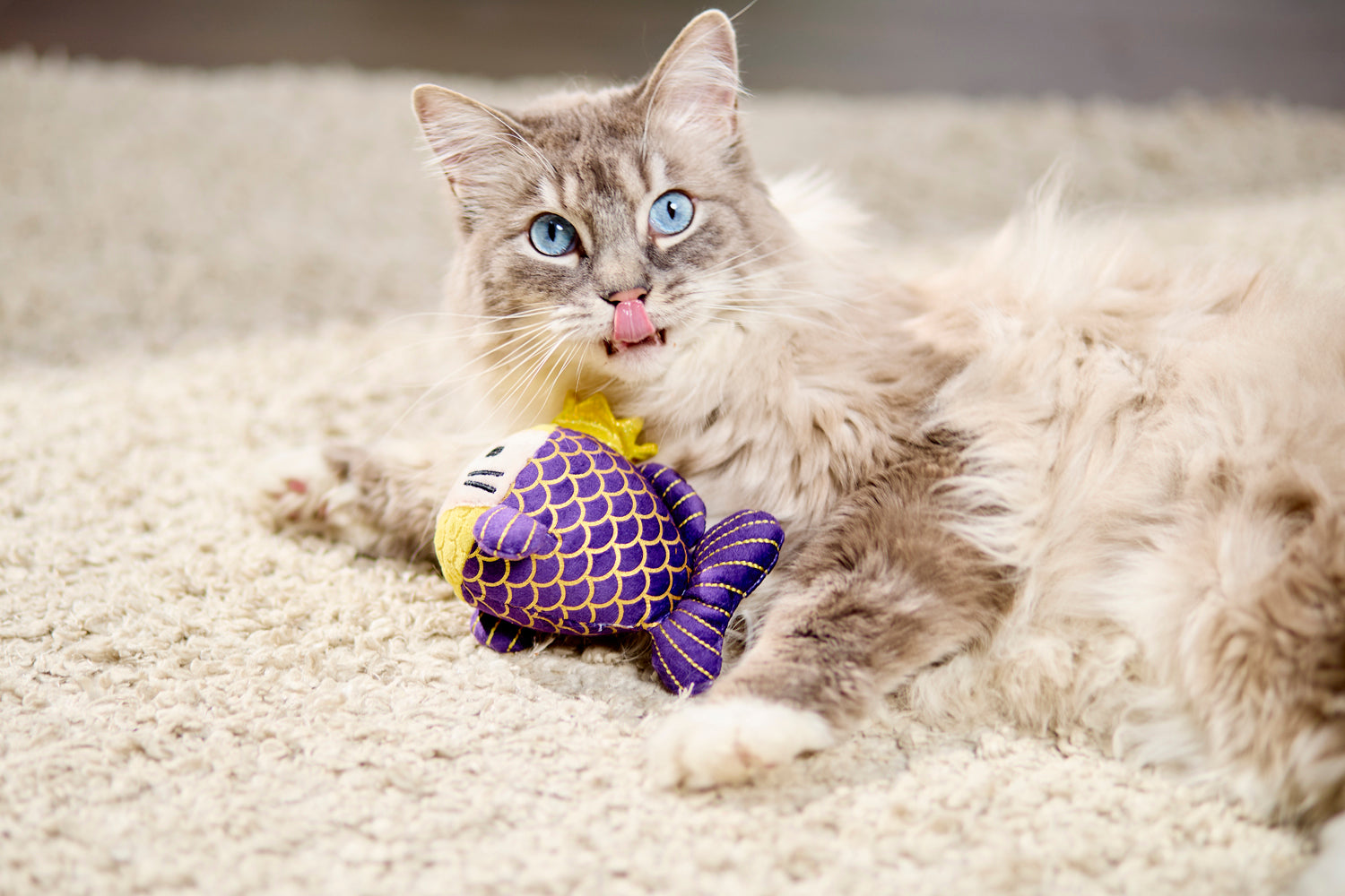 Cat playing with a fish-shaped toy on a carpeted floor