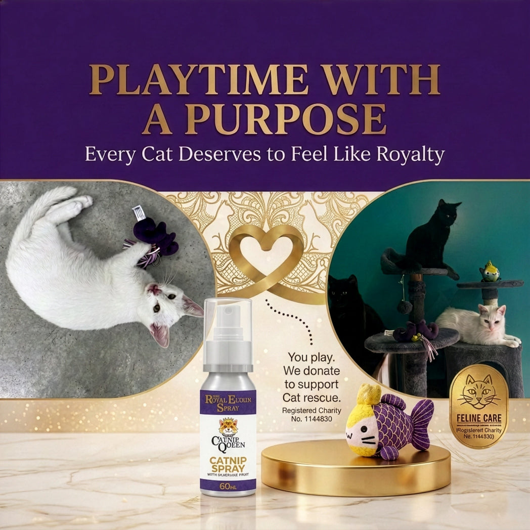 Donate to Feline Care with every The Catnip Queen Purchase