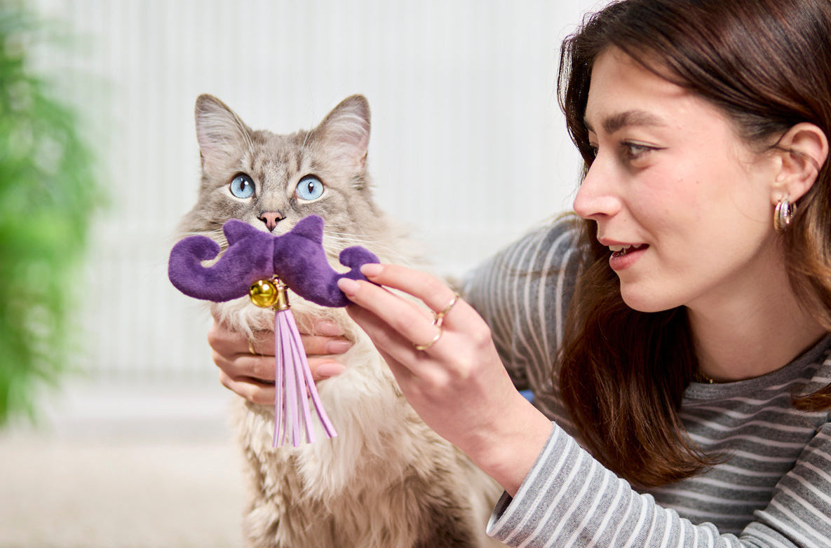 Woman playing with a catnip toy for cats