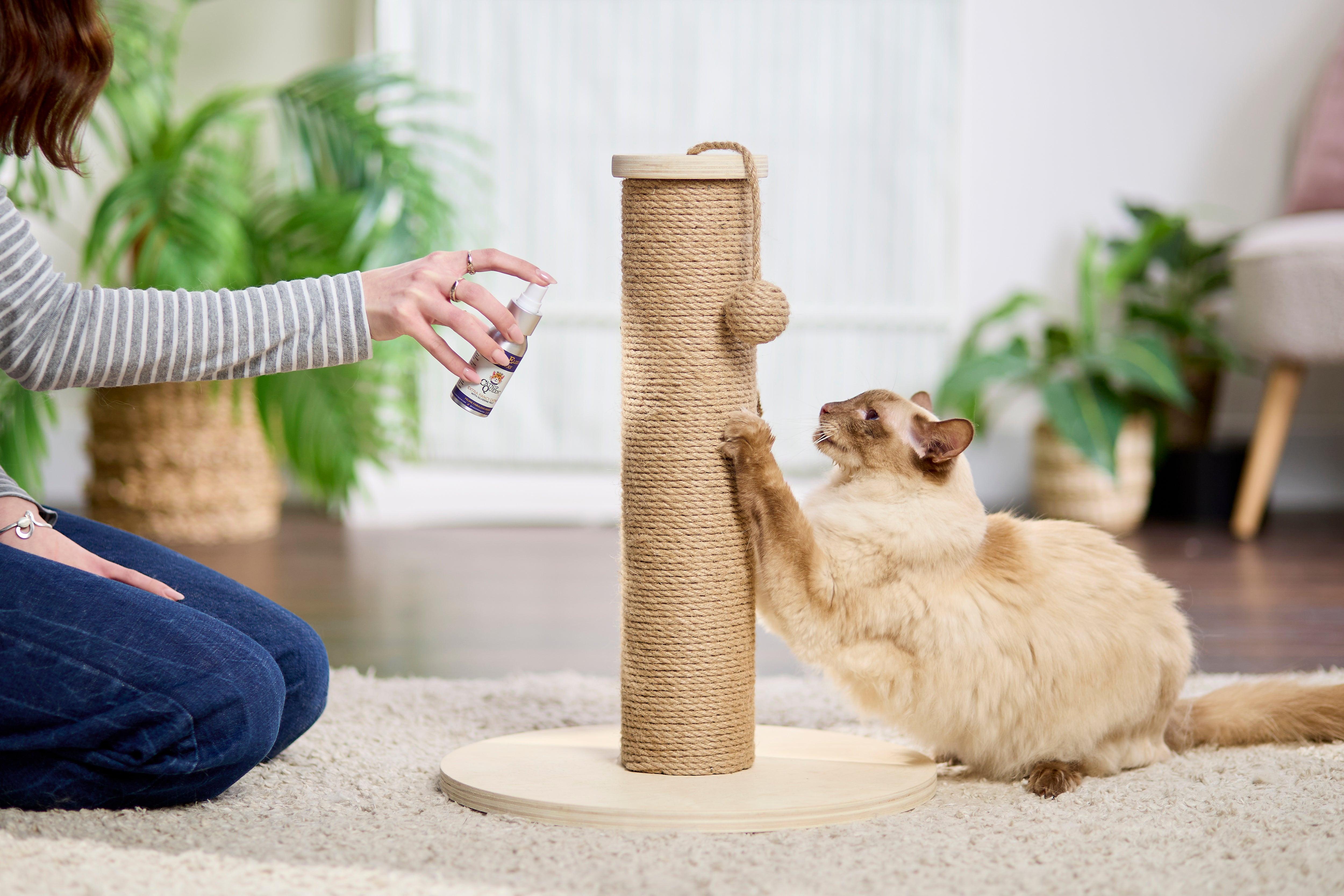 The Royal Catch & Elixir Duo Catnip Toy plus Catnip & Silvervine Spray 50ml.