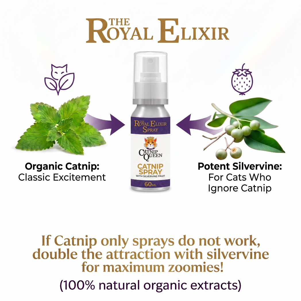 The Catnip Queen Catnip Spray 